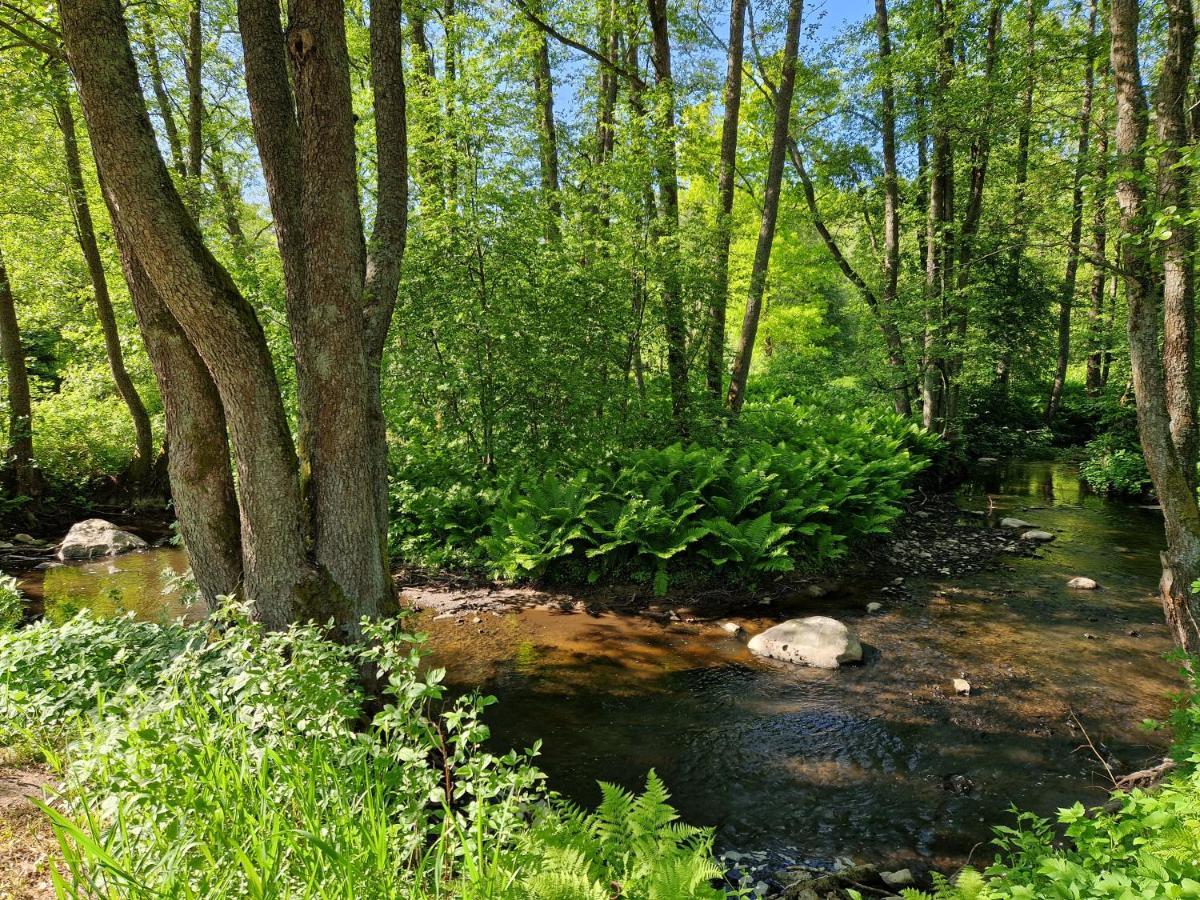 Elulille Maja Mere Laeheduses Lahemaa Ruepes Andineeme Kültér fotó